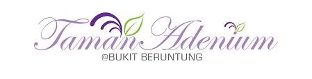 SD-logo-purple.1